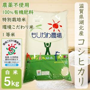 もりかわ農場Yahoo!店 - Yahoo!ショッピング