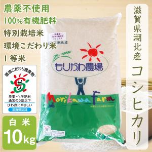 【令和7年新米】滋賀県産 コシヒカリ 玄米 10kg 農薬不使用 コシヒカリ 無農薬 10kg 令和7年産 玄米 農薬不使用 100％有機肥料