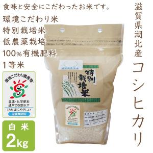 コシヒカリ 無農薬 10kg 令和7年産 玄米 農薬不使用 100％有機肥料