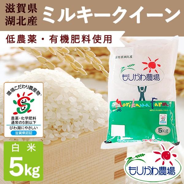 滋賀県産 ミルキークイーン 白米 5kg 令和５年産