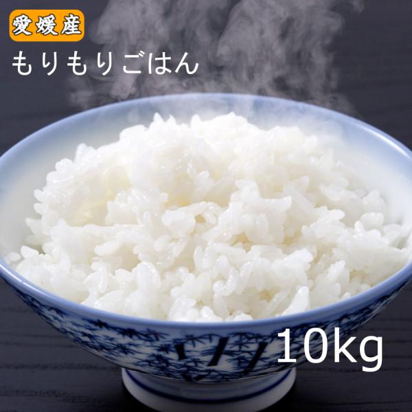 米 10kg 送料無料「 もりもりごはん10kg 」愛媛県産 お米 白米 精米 ブレンド米 業務用