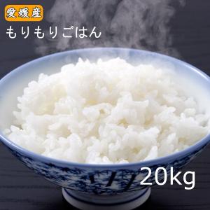 米 10kg 送料無料 「愛媛県産 コシヒカリ 10kg」こしひかり 10キロ