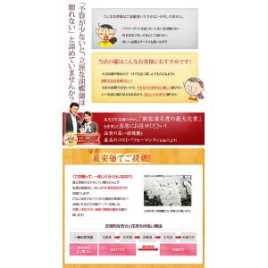 『胡蝶蘭 2本立ち 大輪「モナリザ」』鉢花 ギ...の詳細画像2