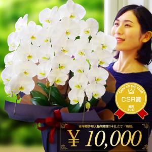 森水木のラン屋さん ヤフー店 Yahoo ショッピング