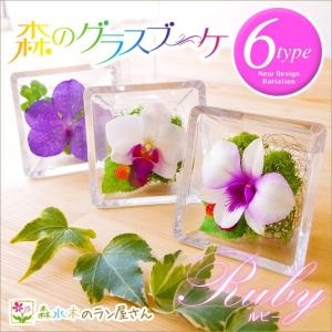 レンデフロール カトレア 胡蝶蘭 シクラメン グラジオス ドライ