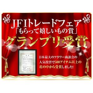 シリーズ最安値!『森のグラスブーケ 「ルビー」...の詳細画像5