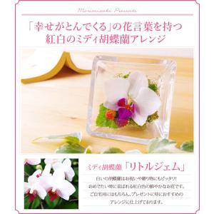 シリーズ最安値!『森のグラスブーケ 「ルビー」...の詳細画像2