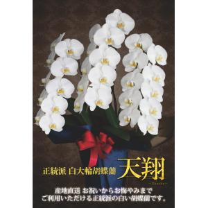 プレミアム胡蝶蘭ギフト 3本立ち 31輪以上『...の詳細画像1