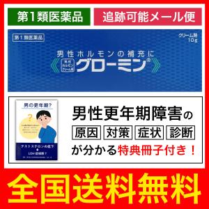特典付き グローミン 10g  性機能改善薬　精力剤　性欲剤