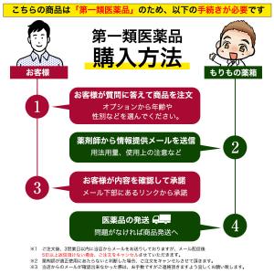 特典付き グローミン 10g 性機能改善薬 精...の詳細画像1