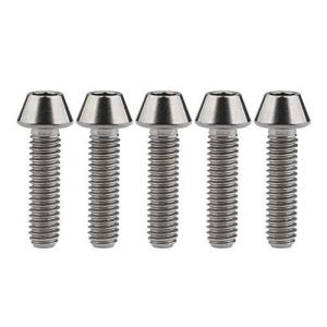 Ruifu M4 x8 15 20mm チタン合金六角穴付ボルト5個入り