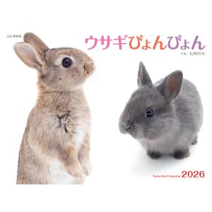 2026年ウサギカレンダー（月めくり）の買取情報
