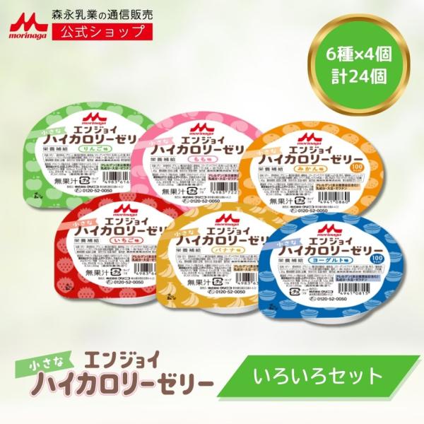 【公式】 森永乳業 エンジョイ小さなハイカロリーゼリー いろいろ セット (6種×4個) 介護食 ハ...