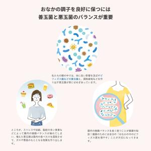 【公式】 森永乳業 毎朝爽快 ヨーグルト味 1...の詳細画像3