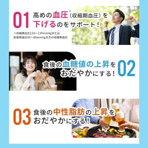 血圧 サプリ 血圧を下げる 血糖値 コレステロ...の詳細画像5