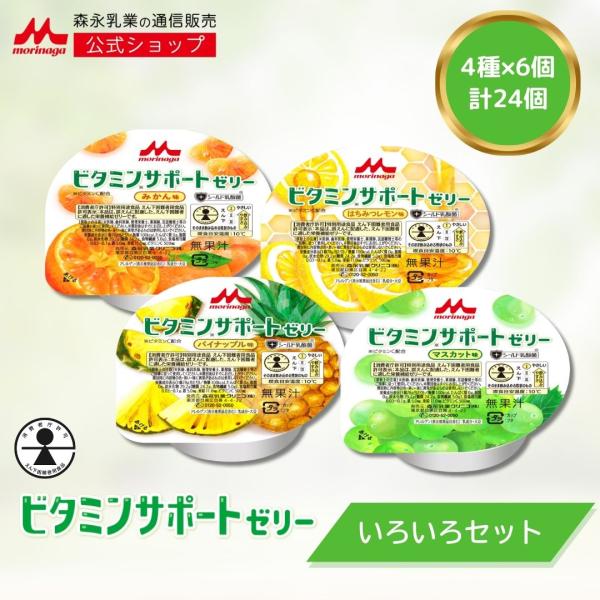 【公式】 森永乳業 ビタミンサポートゼリー いろいろ セット (4種×6個) 介護食 ビタミン 特別...