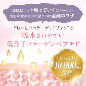 コラーゲンドリンク 森永製菓 おいしいコラーゲ...の詳細画像2