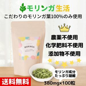 モリンガ サプリメント タブレット 380mg×100粒 無農薬 無添加 オーガニック栽培 モリンガ生活 「公式」 サプリ｜moringa-life