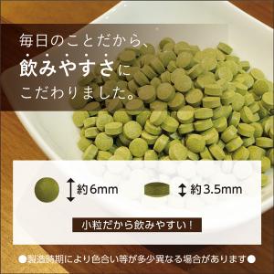 小粒 飲みやすい モリンガ 沖縄産 100% ...の詳細画像2