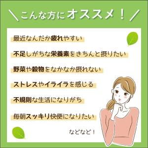 小粒 飲みやすい モリンガ 沖縄産 100% ...の詳細画像3