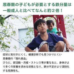 モリンガパウダー 100% 国産 鉄分 子供 ...の詳細画像2
