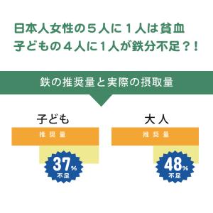 モリンガパウダー 100% 国産 鉄分 子供 ...の詳細画像3