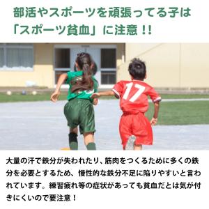 モリンガパウダー 100% 国産 鉄分 子供 ...の詳細画像4