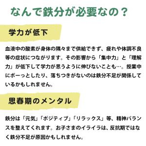モリンガパウダー 100% 国産 鉄分 子供 ...の詳細画像5