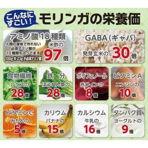 モリンガパウダー沖縄産 100% 2袋セット ...の詳細画像5