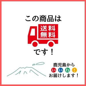 マンゴー苗木(アップルマンゴー・アーウィン種 ...の詳細画像2