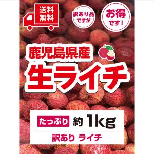 訳ありライチ 国産 鹿児島ライチ販売 生産販売 生ライチ