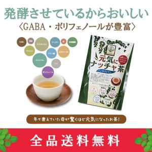 モリンガ茶　健康茶　発酵　おいしい ノンカフェイン　無農薬　元気にナッチャ茶 　30包×1　