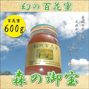 ニホンミツバチのハチミツ (京都府産)【300g】 : 週末養蜂家ショップ