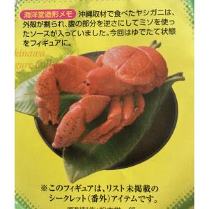 ヤシガニの商品一覧 通販 Yahoo ショッピング