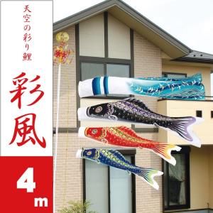 鯉のぼり 岡本太郎鯉のぼり 岡本太郎ミュージアム限定品 大型鯉庭園用