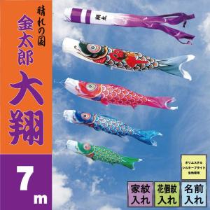 徳永鯉 こいのぼり 徳永 鯉のぼり 令和改元記念 桜風吹き流し 3m 単品