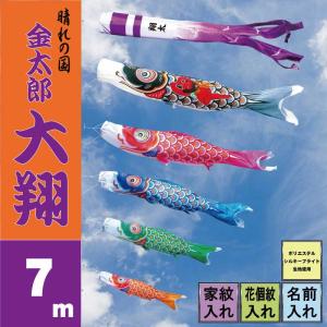 徳永鯉 こいのぼり 徳永 鯉のぼり 令和改元記念 桜風吹き流し 3m 単品