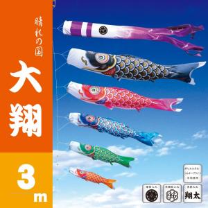 徳永鯉 こいのぼり 徳永 鯉のぼり 錦龍 3m 7点 鯉4匹 大型セット