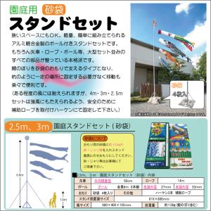 こいのぼり 徳永 鯉のぼり ちりめん京錦 2....の詳細画像1