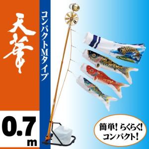 ワタナベ鯉のぼり こいのぼり 錦鯉 ワタナベ 鯉のぼり 綾錦 3m 6