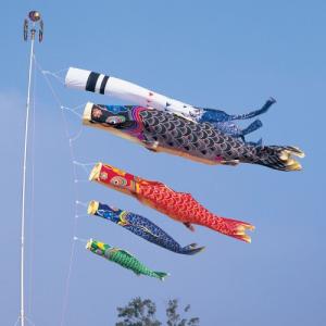 こいのぼり 錦鯉 ワタナベ 鯉のぼり 天 手描き...の商品画像