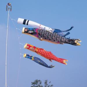 こいのぼり 錦鯉 ワタナベ 鯉のぼり 天 手描き本染め鯉 4.5m 2間半 6点 鯉3匹 浪千鳥吹き流し 大型セット ポール別売り 4m 5m 【名古屋節句飾 伝統的工芸品】