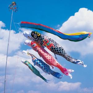 【2026メーカー完売】こいのぼり 錦鯉 ワタナ...の商品画像