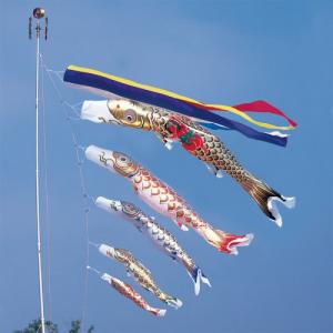 ANPANMAN KIDS COLLECTION（アンパンマンキッズコレクション