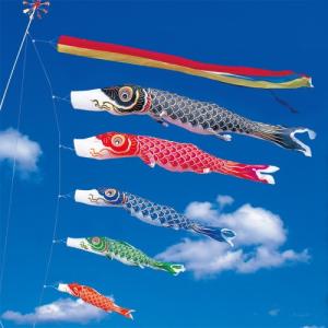 鯉のぼり 岡本太郎鯉のぼり 岡本太郎ミュージアム限定品 大型鯉庭園用