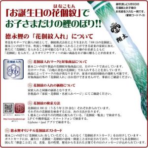 こいのぼり 徳永 鯉のぼり 風舞い 5m 7点...の詳細画像3