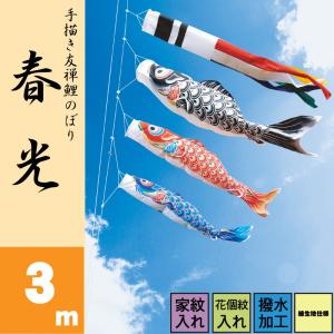 徳永鯉 鯉のぼり 庭用 陽（よう） 2m 6点 庭園用 スタンドセット 鯉3匹
