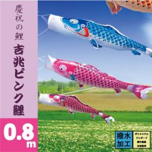 鯉のぼり こいのぼり 徳永五色吹流し 5m単品 吹流し変更 : 節句&ギフト