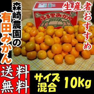 有田みかん サイズ混合10kg (おまかせ) 森崎農園 ふる里みかん ありだみかん 和歌山 ギフト お歳暮 贈答用 家庭用 産地直送