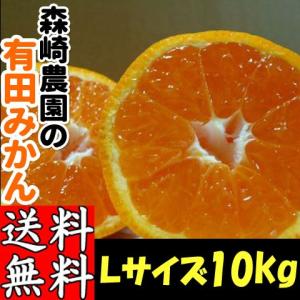 有田みかん Lサイズ 10kg 森崎農園 ふる里みかん ありだみかん 和歌山 ギフト お歳暮 贈答用 家庭用 産地直送